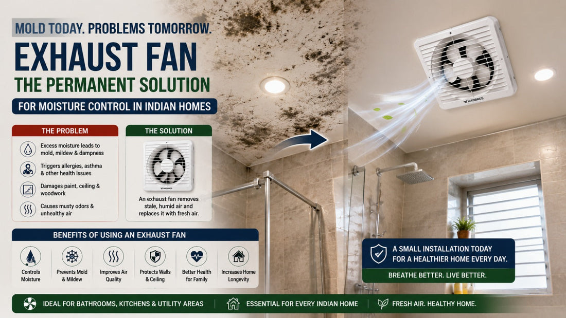Why Your Bathroom Gets Moldy: The Science Behind Moisture and The Simple Solution