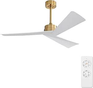 Tern DC Ceiling Fan Without Lights, Brass and White Ceiling Fan with Remote - MR Homes