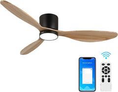 Robin reiga Indoor Ceiling Fan with Led Light & Remote Control - MR Homes