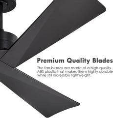 Tern DC Ceiling Fan Without Lights, Matte Black Ceiling Fan with Remote - MR Homes