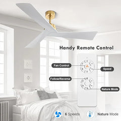 Tern DC Ceiling Fan Without Lights, Brass and White Ceiling Fan with Remote - MR Homes