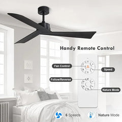 Tern DC Ceiling Fan Without Lights, Matte Black Ceiling Fan with Remote - MR Homes