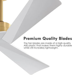 Tern DC Ceiling Fan Without Lights, Brass and White Ceiling Fan with Remote - MR Homes