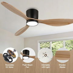 Robin reiga Indoor Ceiling Fan with Led Light & Remote Control - MR Homes