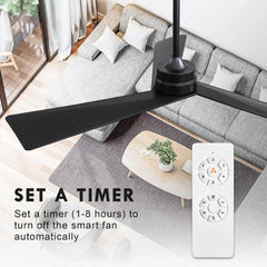 Tern DC Ceiling Fan Without Lights, Matte Black Ceiling Fan with Remote - MR Homes