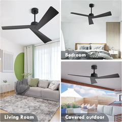 Tern DC Ceiling Fan Without Lights, Matte Black Ceiling Fan with Remote - MR Homes