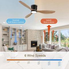 Robin reiga Indoor Ceiling Fan with Led Light & Remote Control - MR Homes