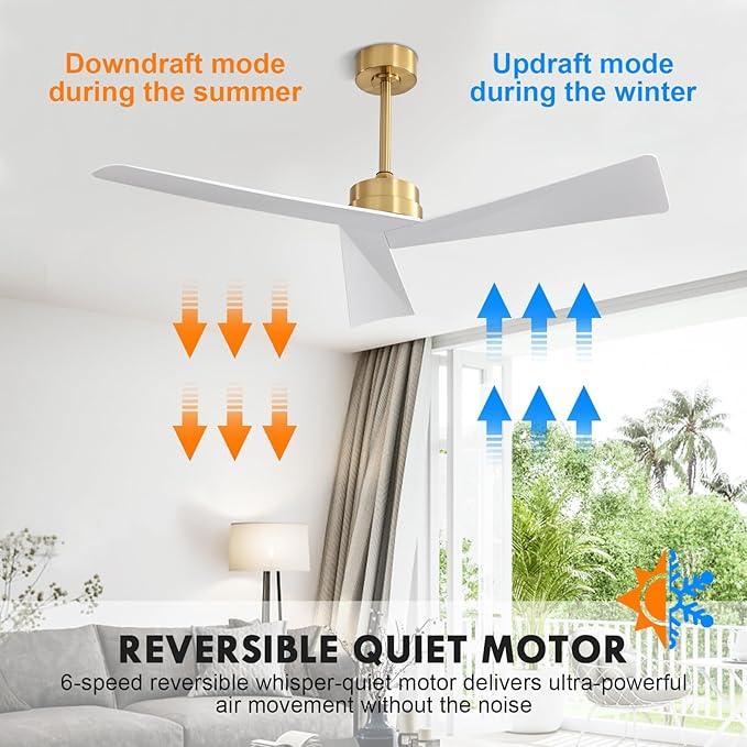 Tern DC Ceiling Fan Without Lights, Brass and White Ceiling Fan with Remote - MR Homes