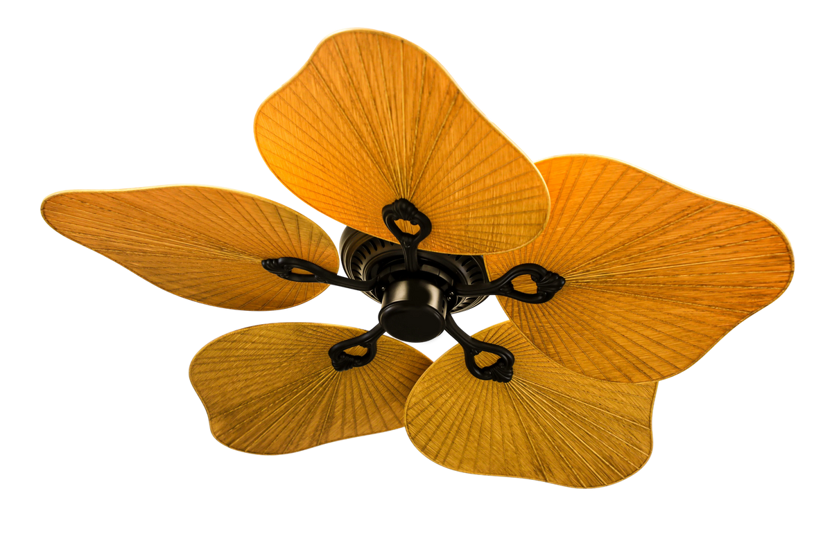 Antique Teetar Ceiling Fan – BLDC Motor, 5 Blades, Remote Control - MR Homes