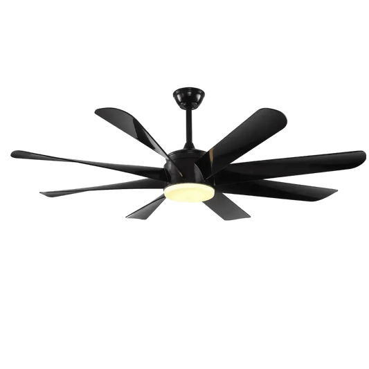 Black Kite Modern Design Indoor Fancy 8 Blade Remote Control LED Ceiling Fan Light - MR Homes