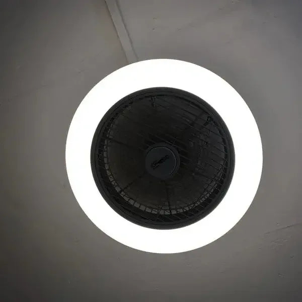 Ceiling Deco Fan With Remote Control for ventilation - MR Homes