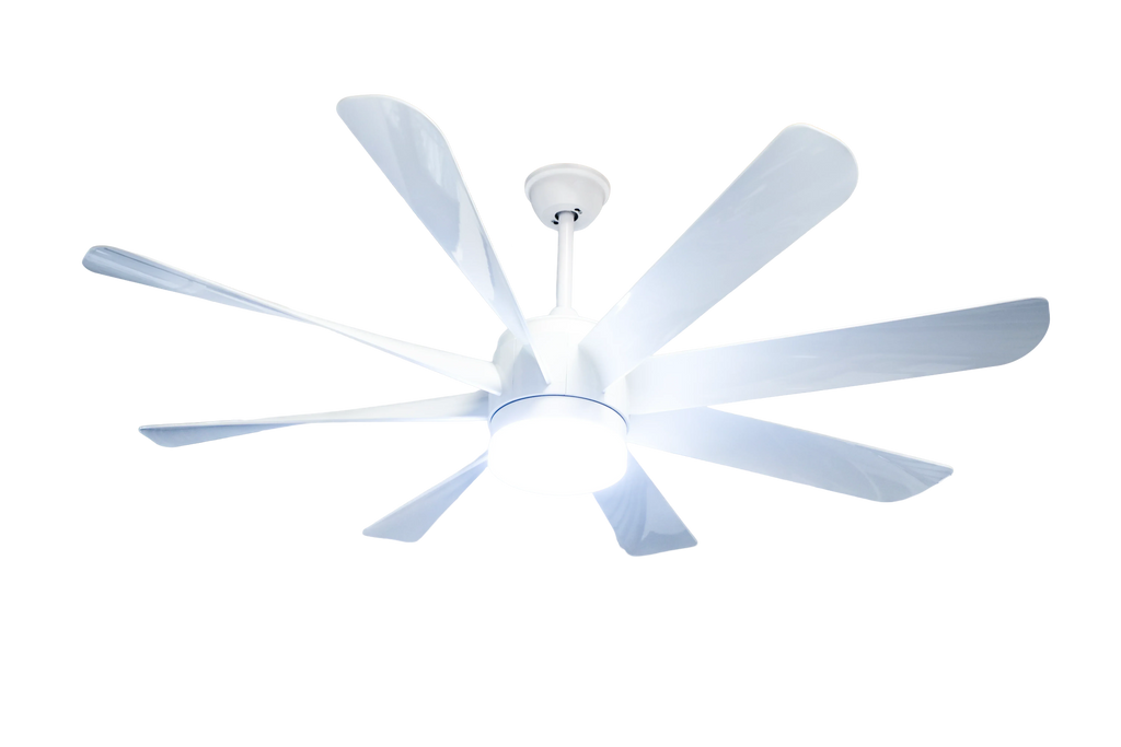 Flamingo Modern Design Indoor Fancy 8 Blade Remote Control LED Ceiling Fan Light - MR Homes