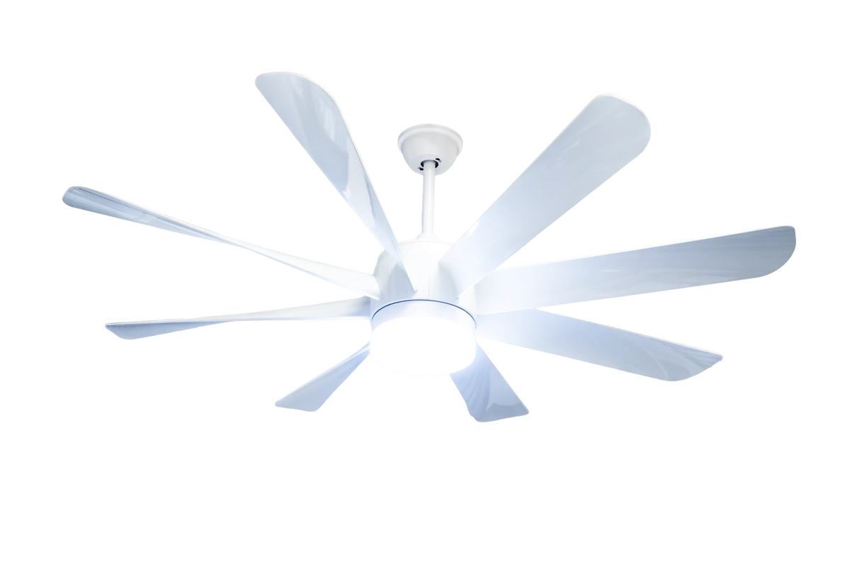 Flamingo Modern Design Indoor Fancy 8 Blade Remote Control LED Ceiling Fan Light - MR Homes