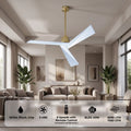 Tern DC Ceiling Fan Without Lights, Brass and White Ceiling Fan with Remote