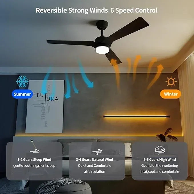 6 Speed Remote control fan