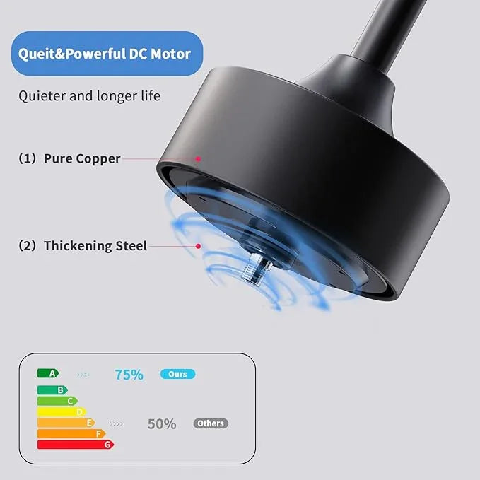 Hawk Ceiling Fan - MR Homes