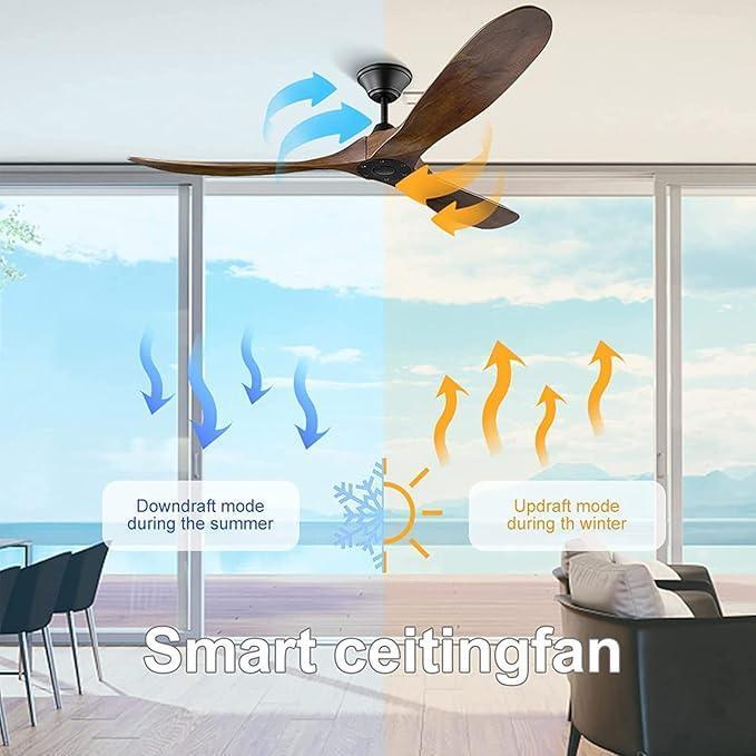 Ibis Ceiling Fan with Remote Control Forword & Reverse - MR Homes