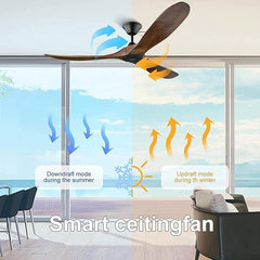 Ibis Ceiling Fan with Remote Control Forword & Reverse - MR Homes