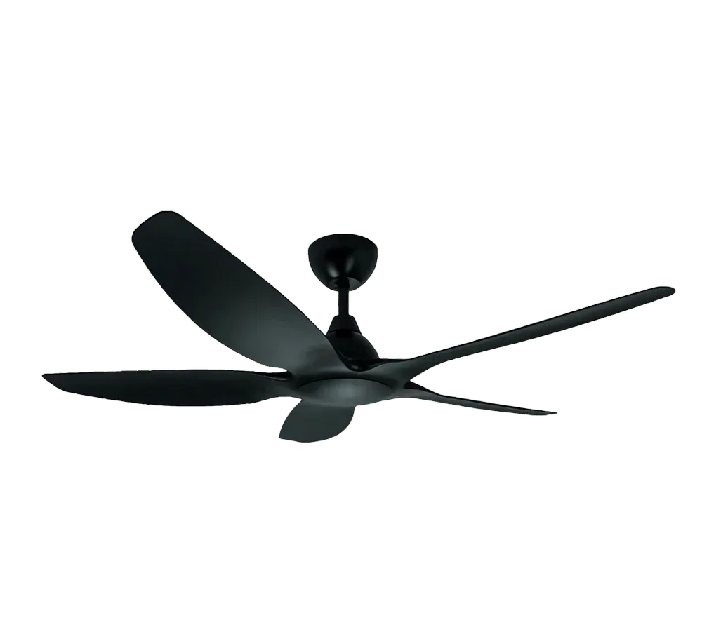 Jackdaw Ceiling Fan – Stylish, Energy-Efficient & Silent - MR Homes