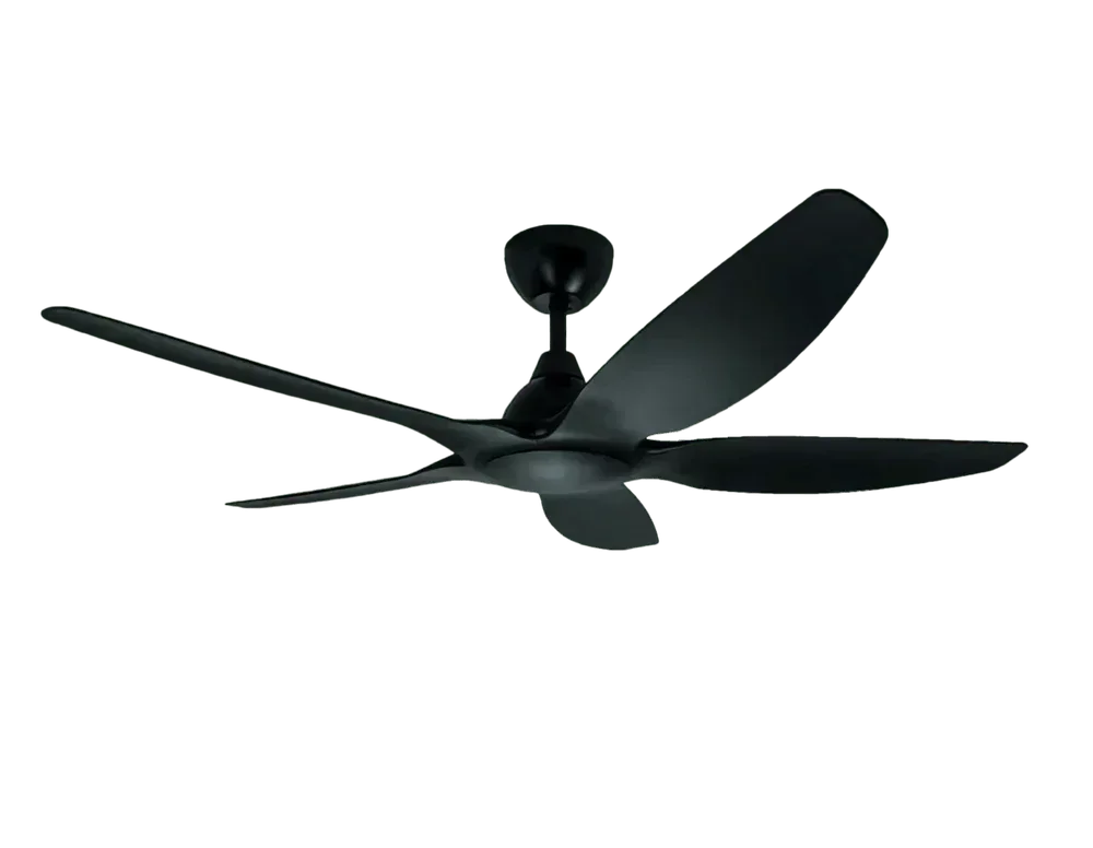 Jackdaw Ceiling Fan – Stylish, Energy-Efficient & Silent - MR Homes
