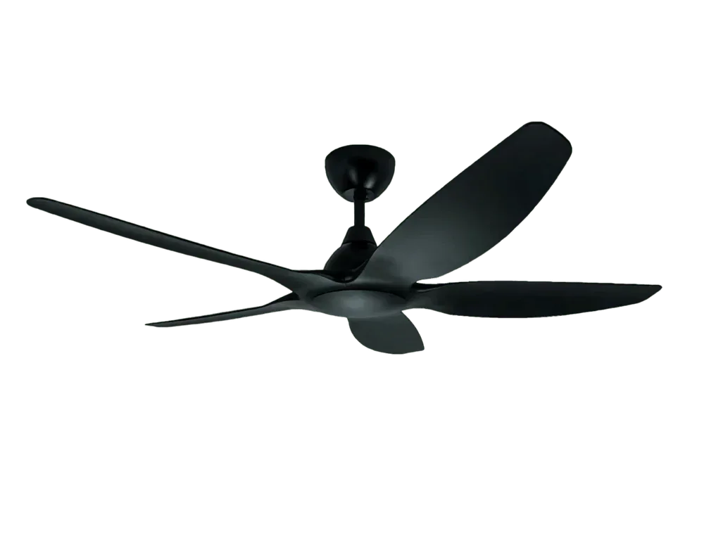 Jackdaw Ceiling Fan – Stylish, Energy-Efficient & Silent - MR Homes