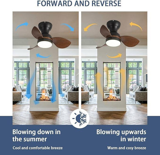 Myna LED Small Ceiling Fan with Lighting Reversible Quiet 6 Speed Ceiling Fan - MR Homes