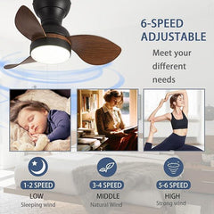 Myna LED Small Ceiling Fan with Lighting Reversible Quiet 6 Speed Ceiling Fan - MR Homes