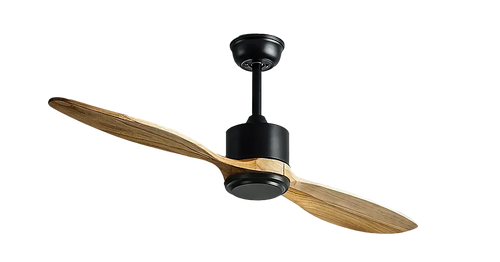 patang_dragonfly_1-Copy - MR Homes