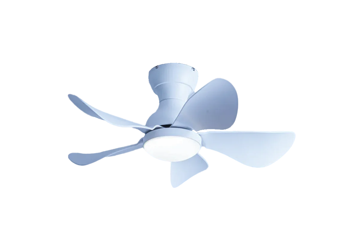 Prinia Ceiling Fan – 29 Inch, 5-Blade BLDC Motor with 6 Speeds & Remote Control - MR Homes