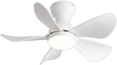 Prinia Ceiling Fan – 29 Inch, 5-Blade BLDC Motor with 6 Speeds & Remote Control - MR Homes