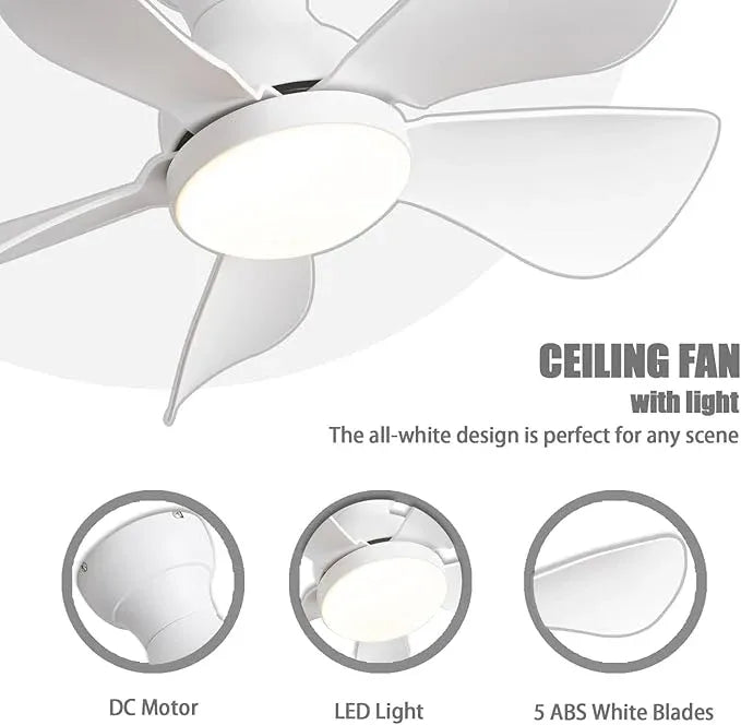 Prinia Ceiling Fan – 29 Inch, 5-Blade BLDC Motor with 6 Speeds & Remote Control - MR Homes