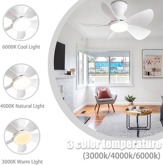 Prinia Ceiling Fan – 29 Inch, 5-Blade BLDC Motor with 6 Speeds & Remote Control - MR Homes