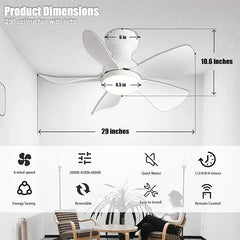 Prinia Ceiling Fan – 29 Inch, 5-Blade BLDC Motor with 6 Speeds & Remote Control - MR Homes