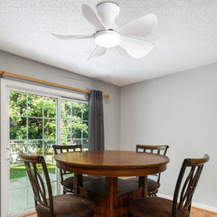 Prinia Ceiling Fan – 29 Inch, 5-Blade BLDC Motor with 6 Speeds & Remote Control - MR Homes